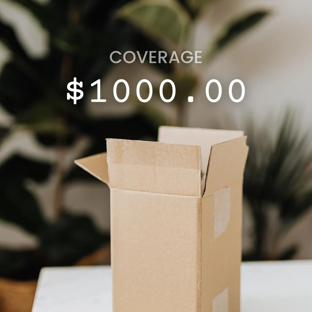 EP Shipping Insurance - Image 6