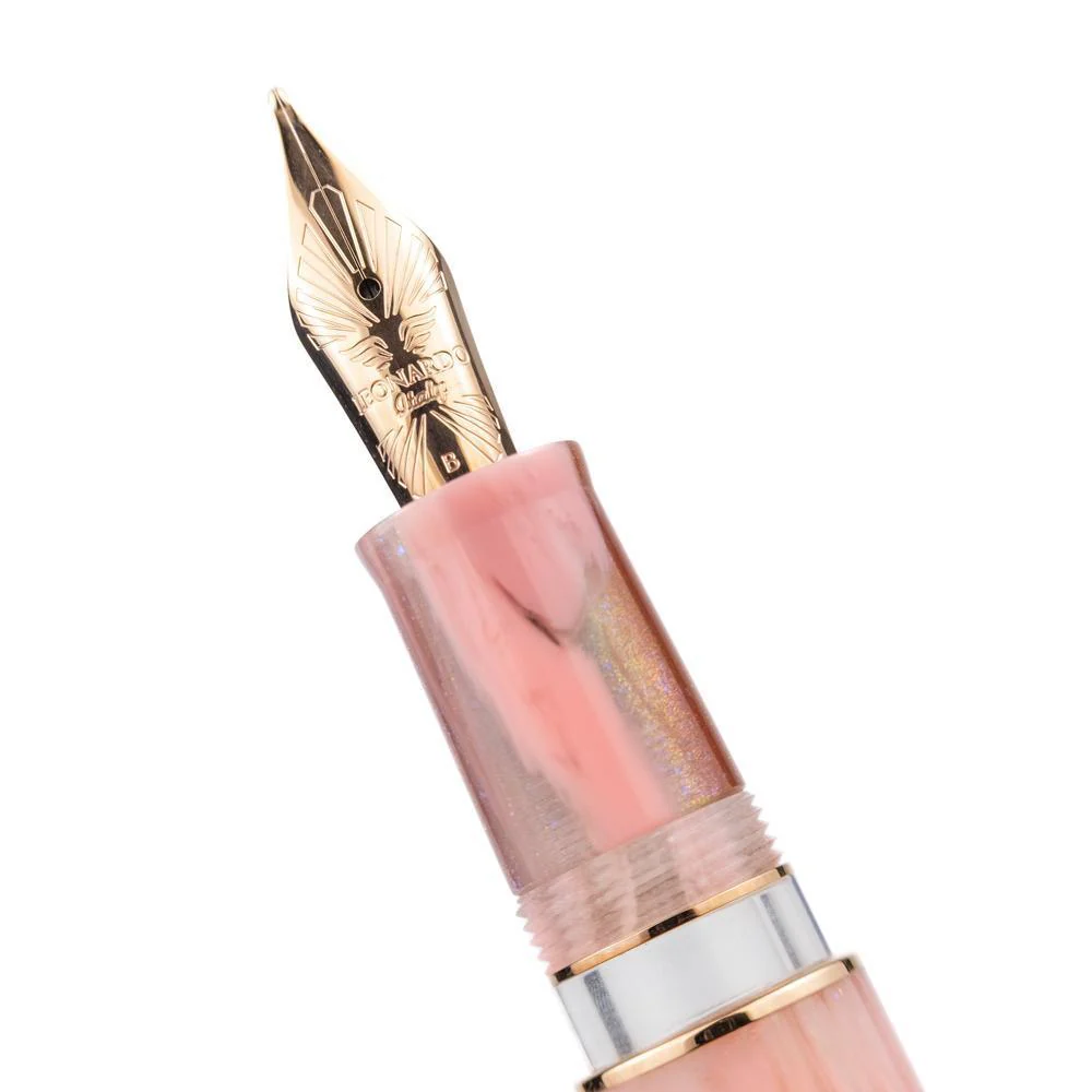 Leonardo × @karynalovestoplan - Momento Zero Grande 2.0 Winter Sunrise Fountain Pen Set - Image 19
