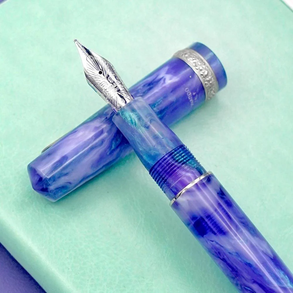 Leonardo × @nibsandflourishes Aster Bouquet Fountain Pen - Image 14