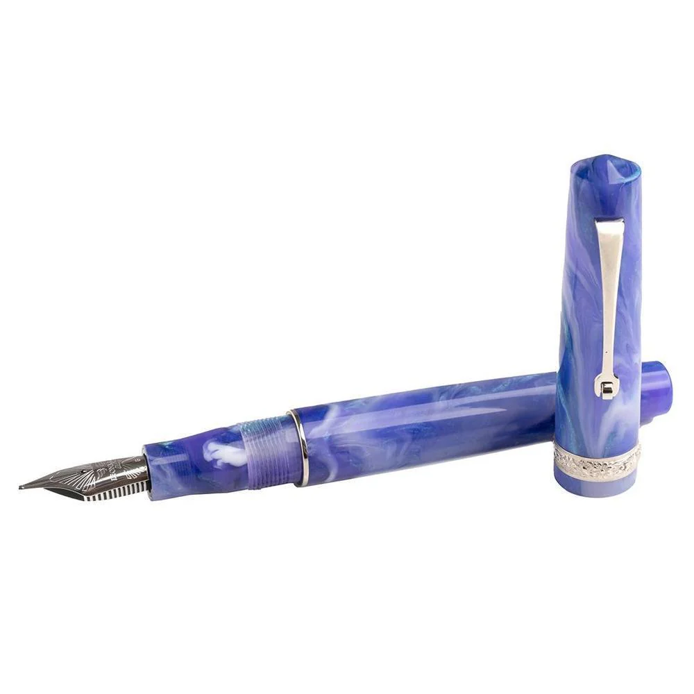 Leonardo × @nibsandflourishes Aster Bouquet Fountain Pen - Image 6