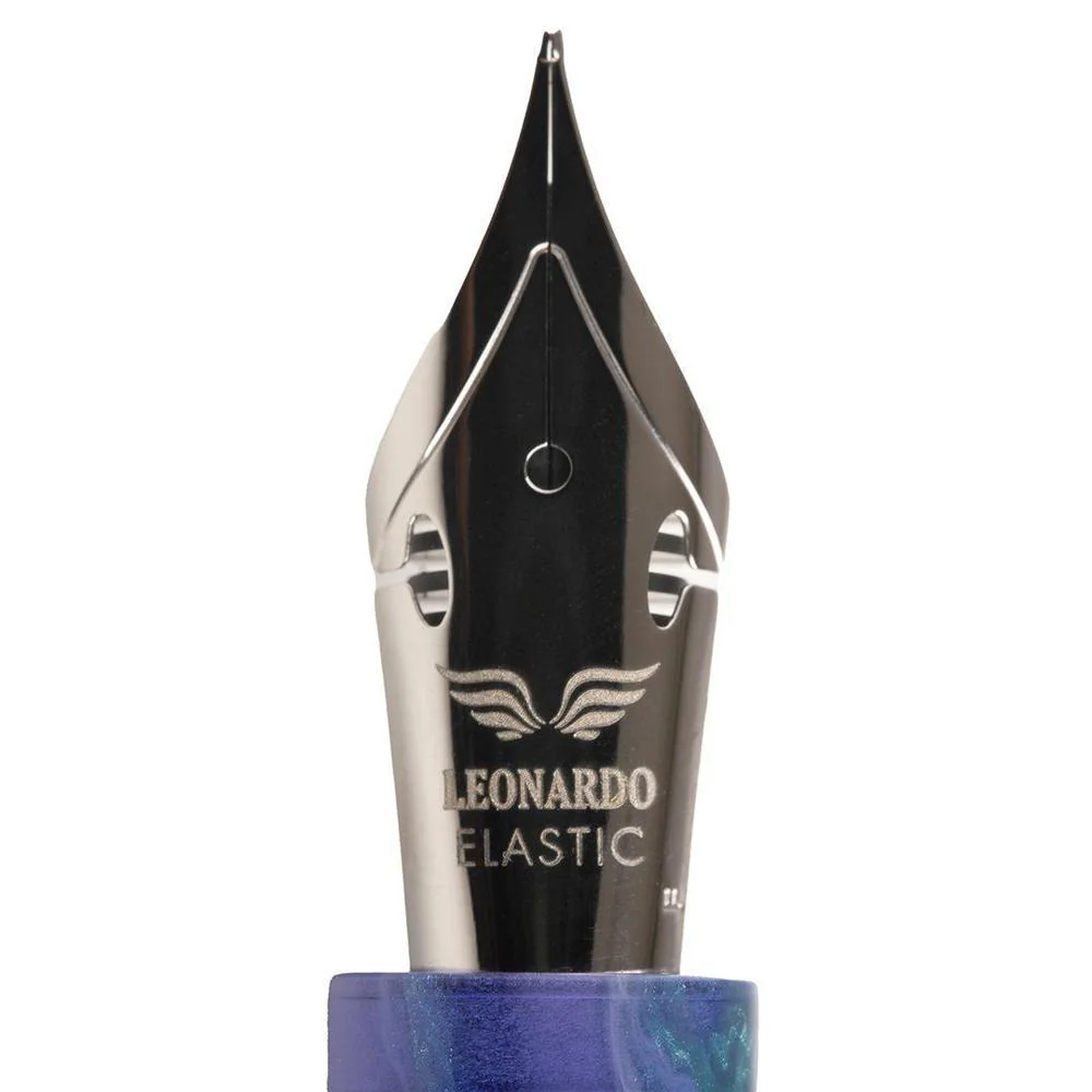 Leonardo × @nibsandflourishes Aster Bouquet Fountain Pen - Image 8
