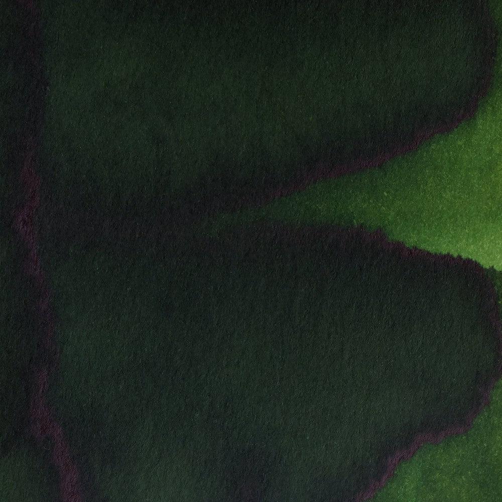 Pennonia Ink Bottle (60ml) - Fenyves (Boreal Forest) - Image 3