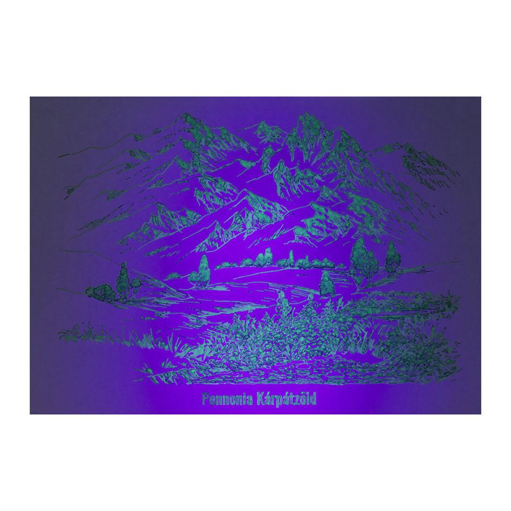 Pennonia Ink Bottle (60ml) - Kárpátzöld Fluorescent - (Carpathian Green) - Image 5