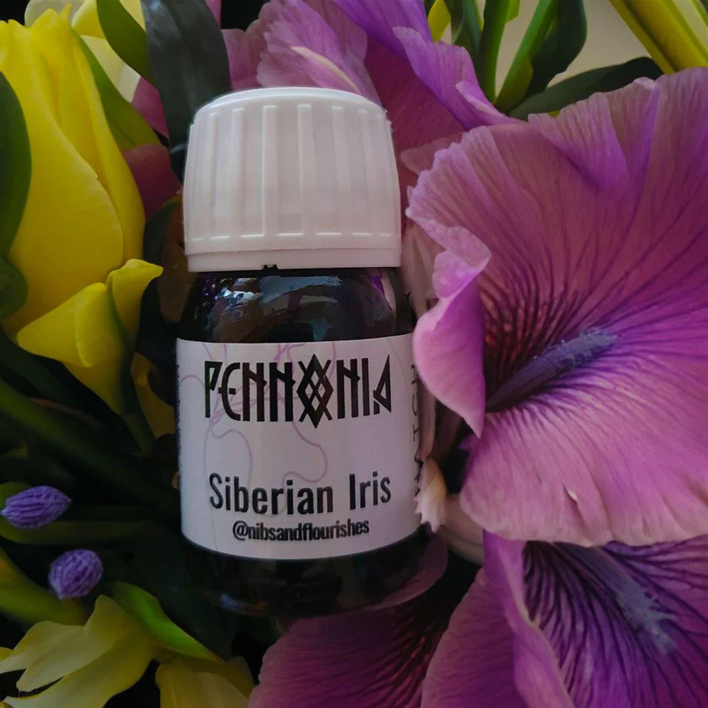 Pennonia × @nibsandflourishes Garden Delights: Siberian Iris Ink Bottle (30ml) - Image 3
