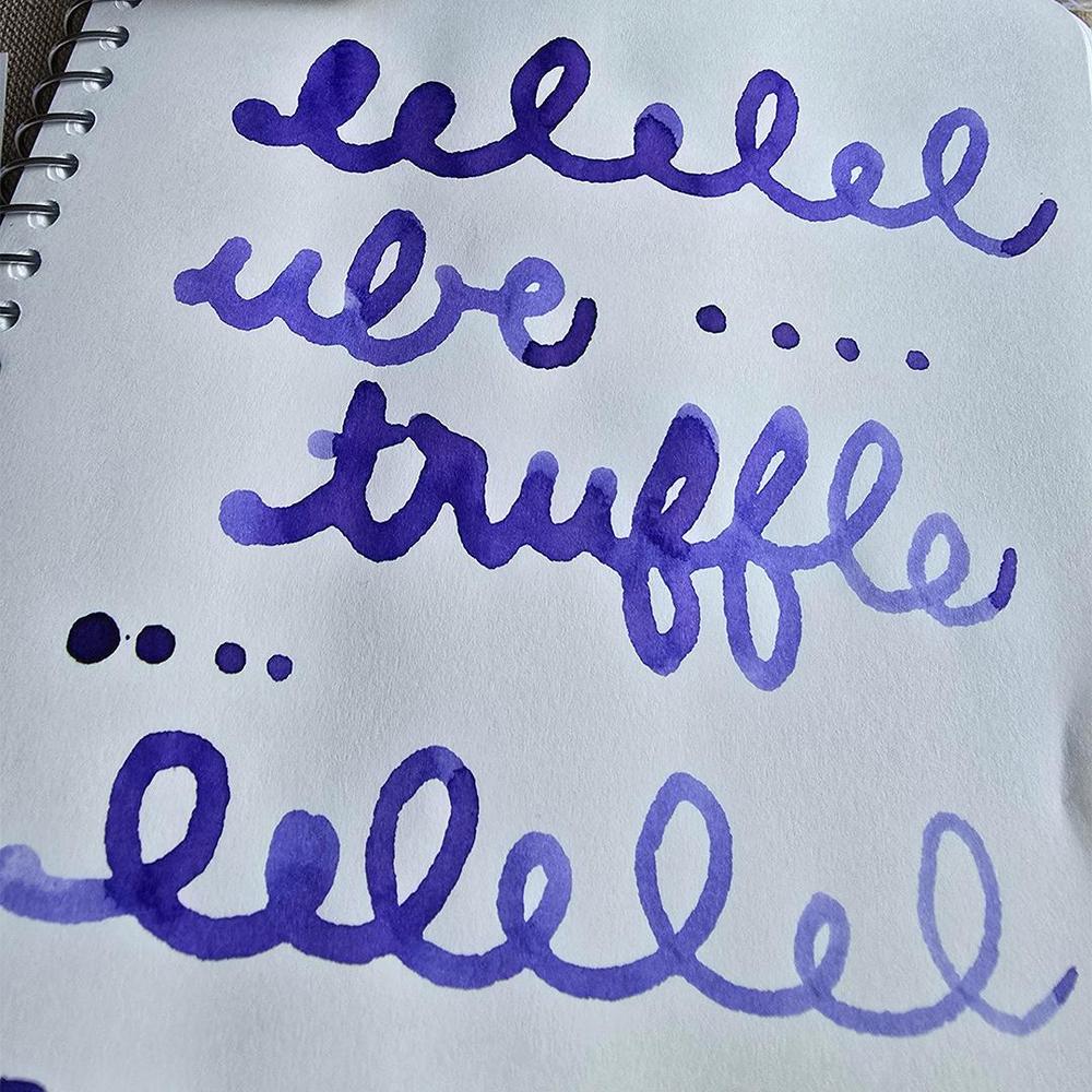 Robert Oster Ink Bottle (50ml) - Community Ink - Ube Truffle - Endless Exclusive Set (2025) - Image 9