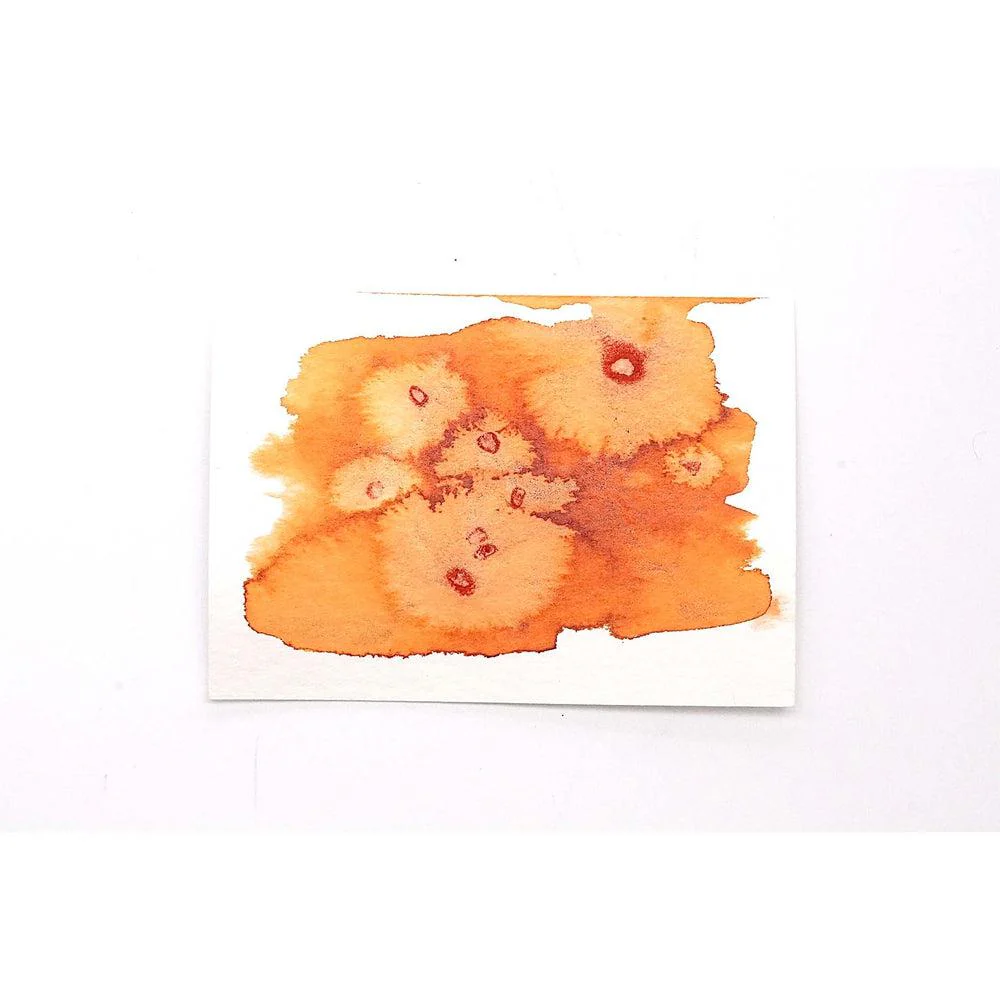 Robert Oster × @micahfinds Cozy Comforts Ink Bottle (50ml) - Image 19