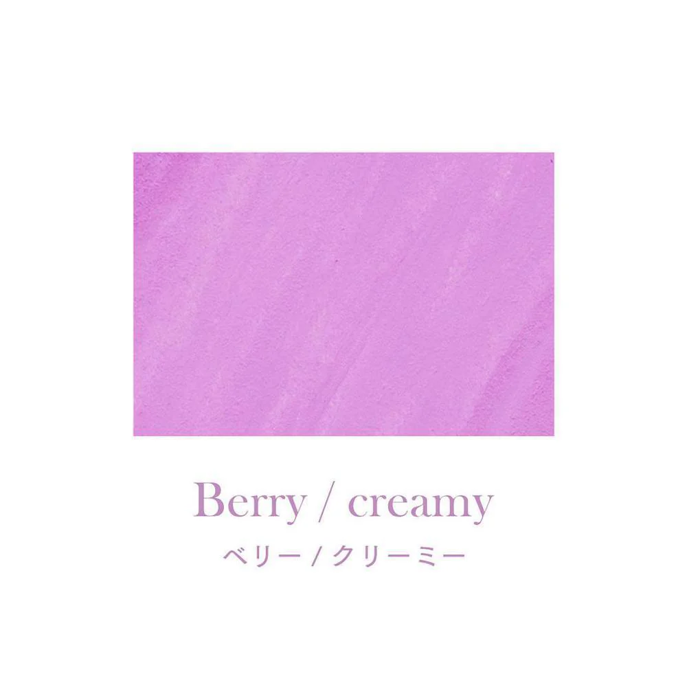 Sailor Ink Bottle (15ml) - Dipton Creamy Ink - Image 17