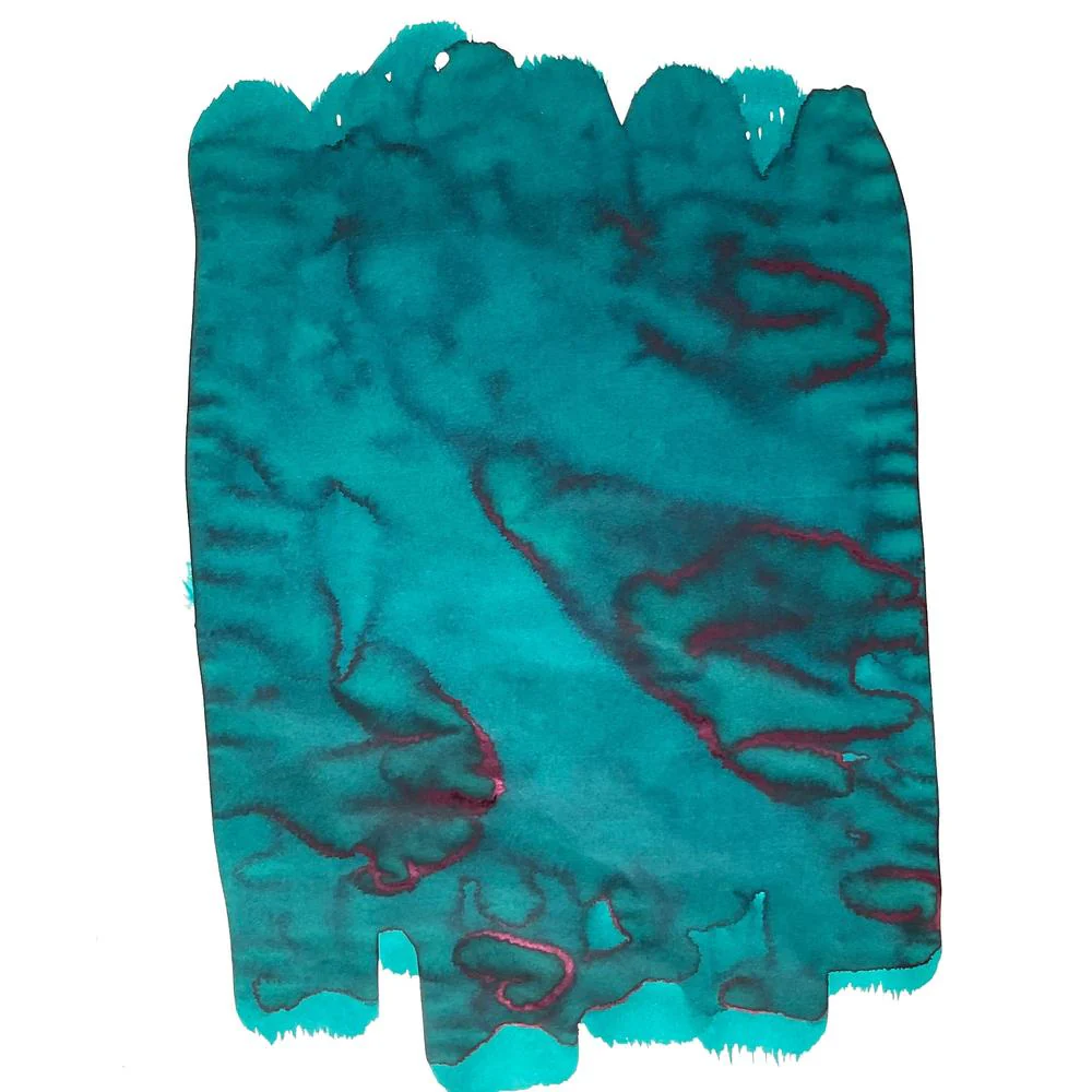 Van Dieman's Ink Bottle (30ml) - Birds of a Feather - Image 33