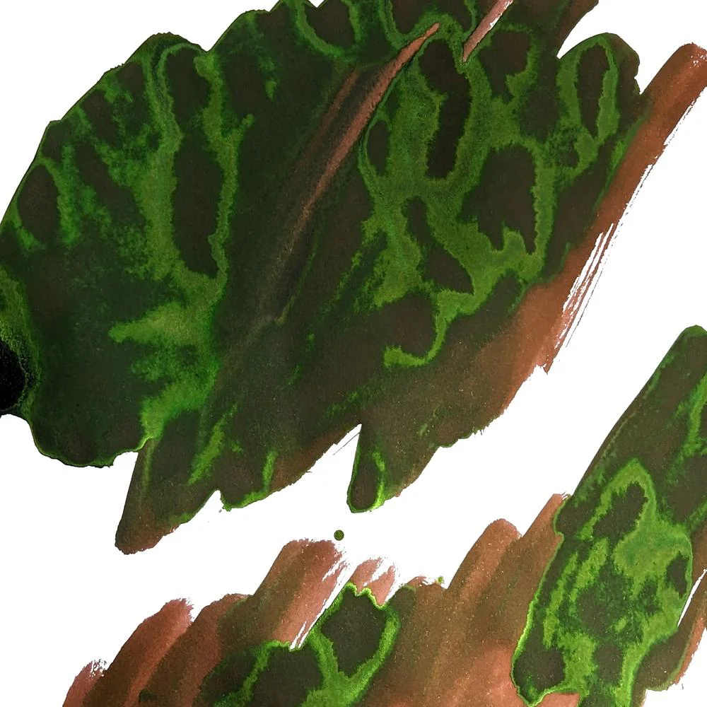 Van Dieman's Ink Bottle (30ml) -  Voyagers - Image 28