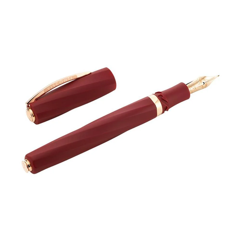 Visconti Fountain Pen - Divina Matte - Bordeaux - Image 7