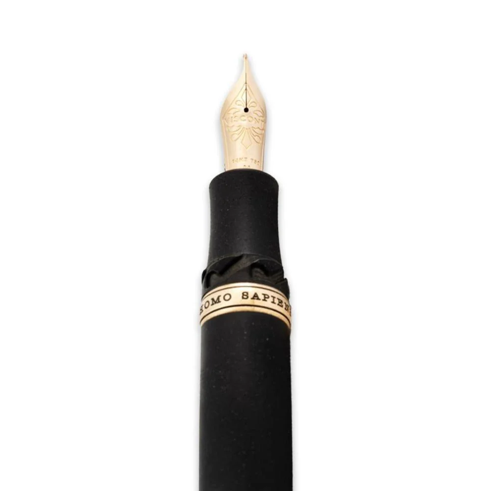 Visconti Fountain Pen - Homo Sapiens - Bronze Age - Image 6