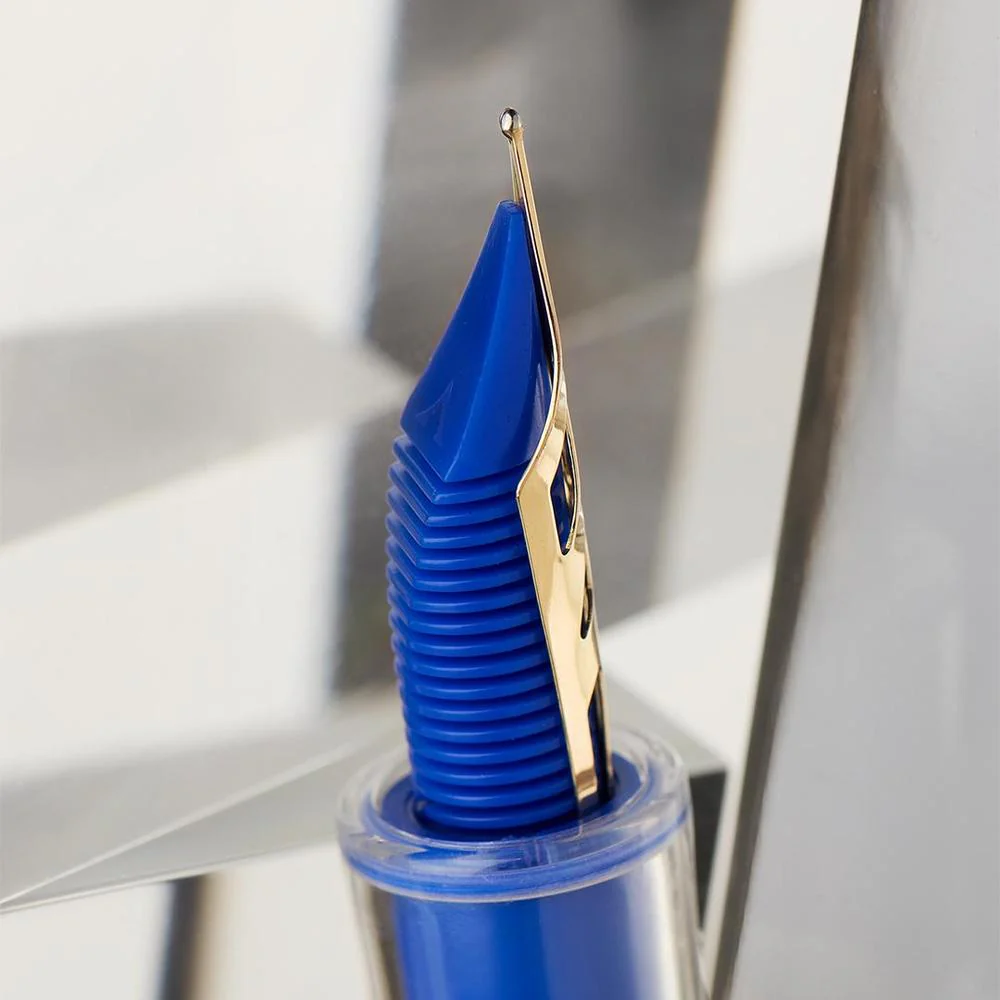 Visconti Fountain Pen - Homo Sapiens - Full Demo - Limited Edition (2025) - Image 4
