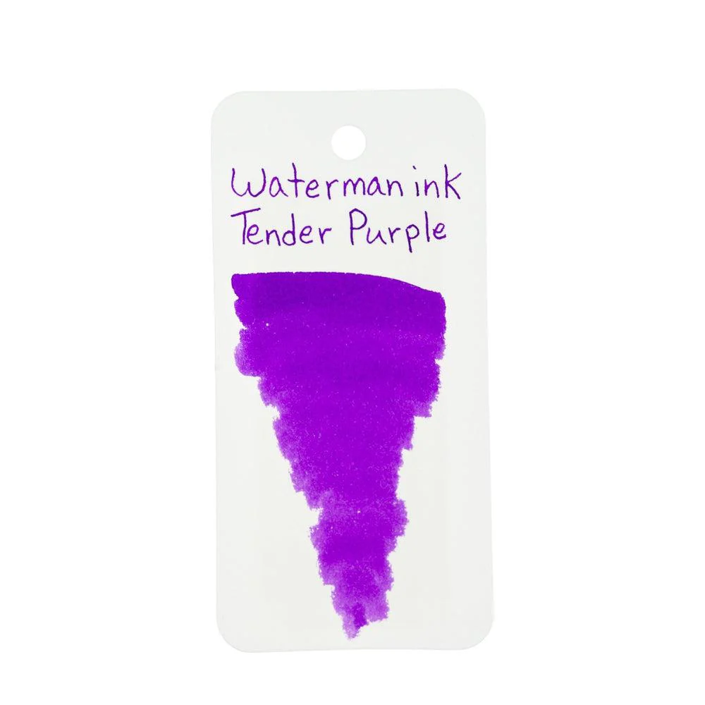 Waterman Ink Bottle (50ml) - Image 15